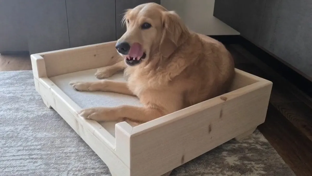 dog bed - Image 1