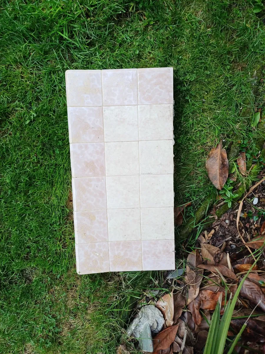 Fire surround - Image 4