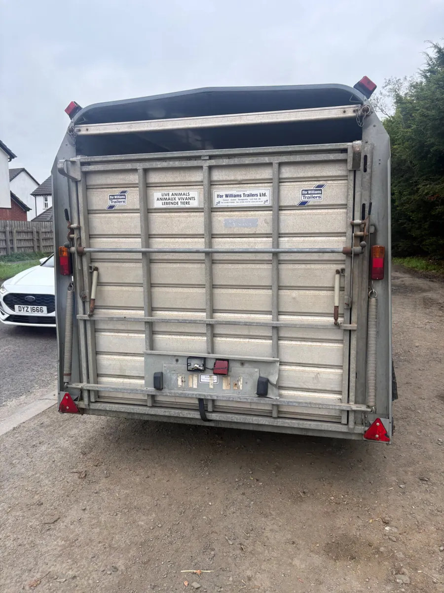 Ifor Williams 14ft cattle trailer - Image 2