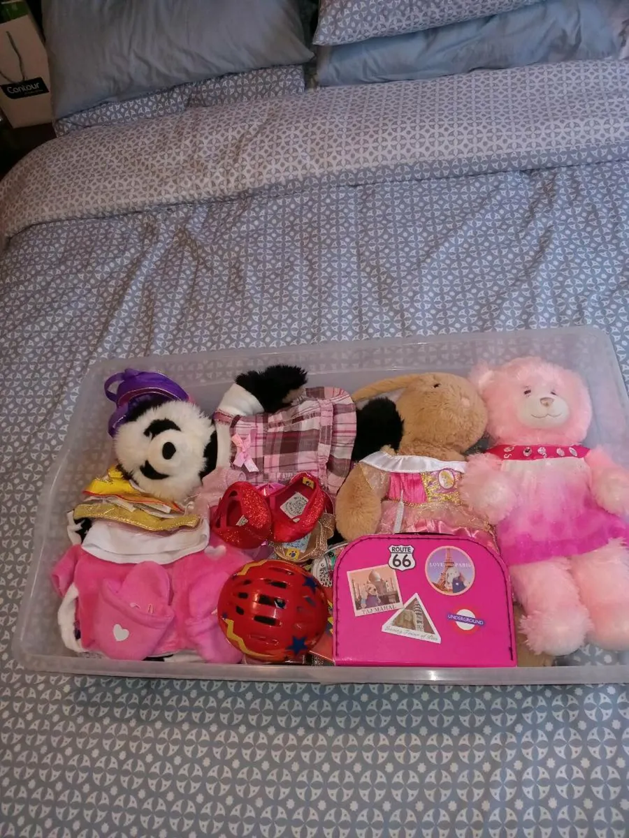 Build a Bear - Image 1