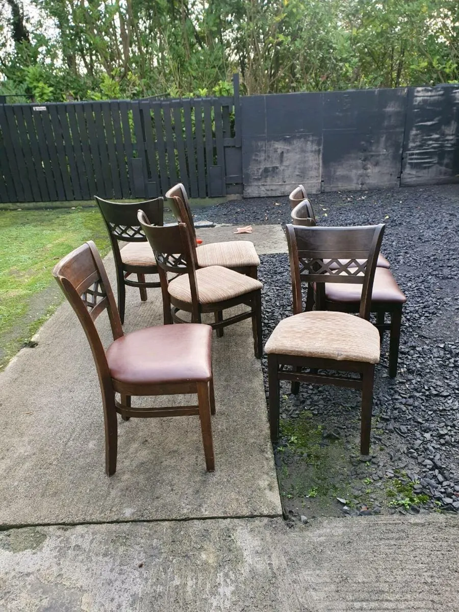 7 Restaurant chairs - Image 1