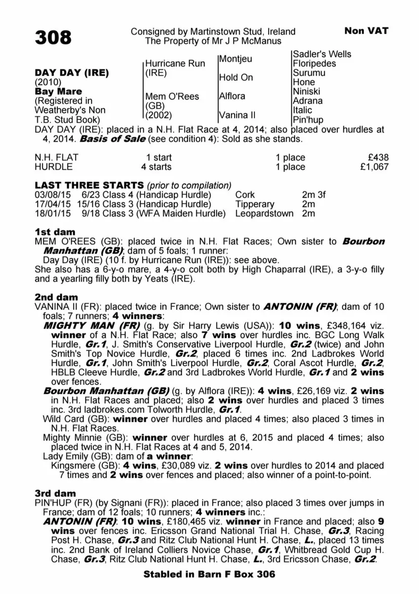 National hunt mare - Image 4