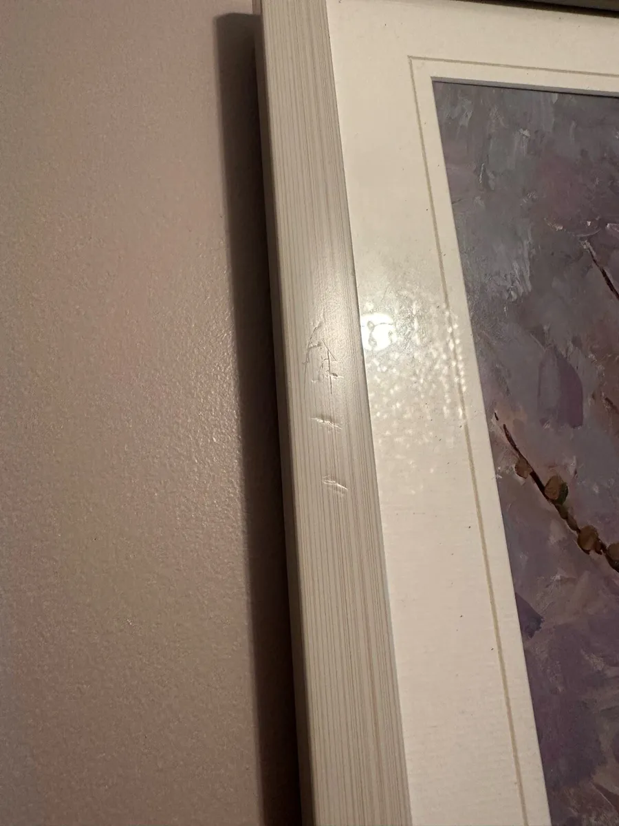 Framed Pictures - Image 3