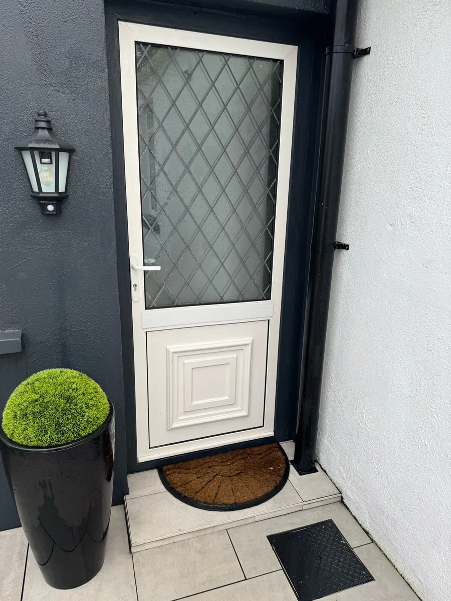 PVC door - Image 1