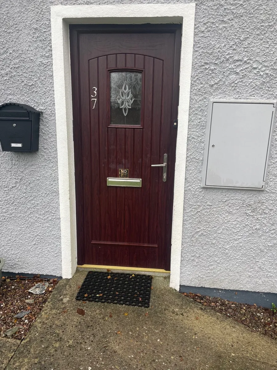 Front door - Image 1