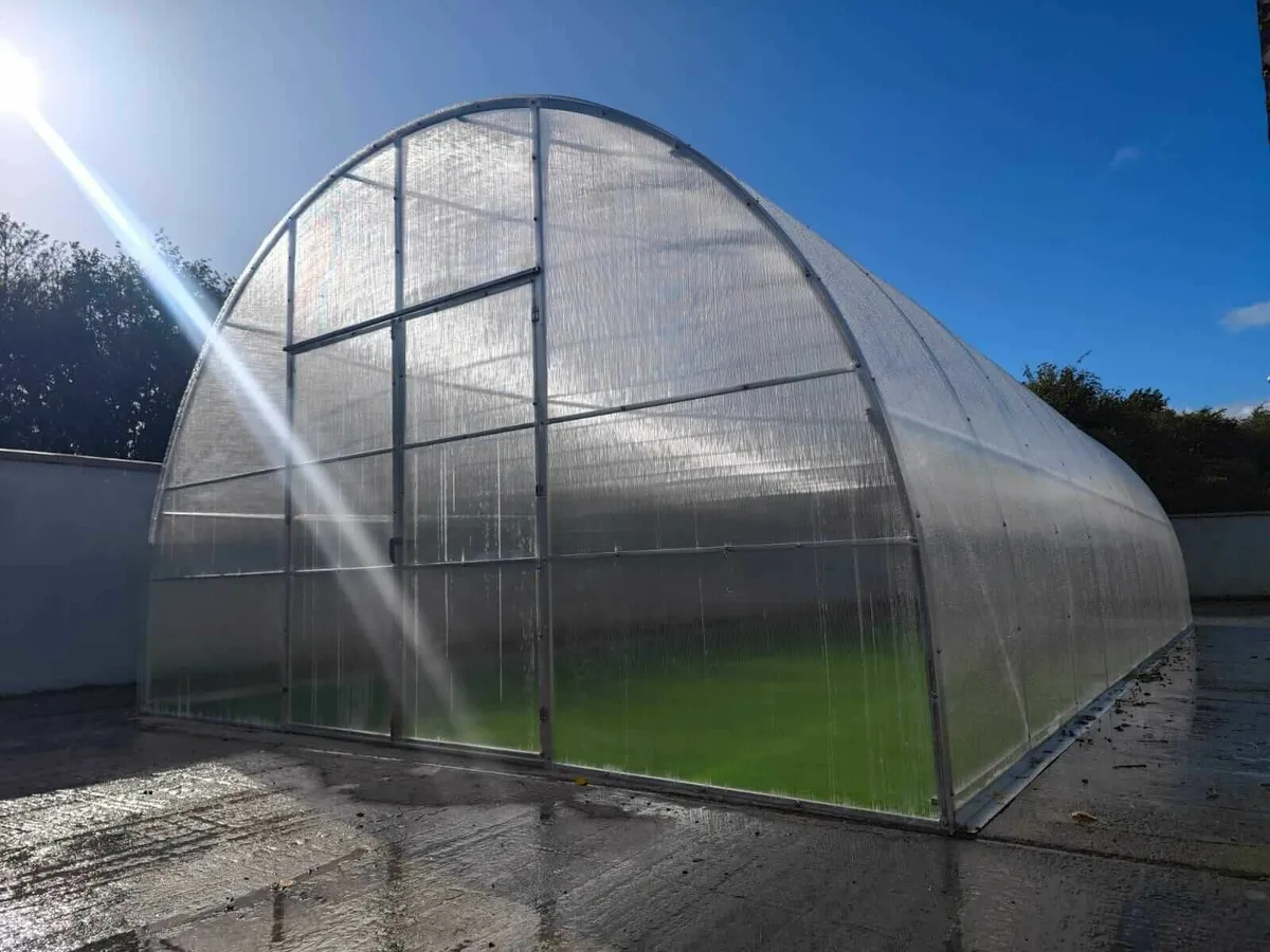 SALE - Titan 5 Polycarbonate Polytunnel/Greenhouse - Image 4