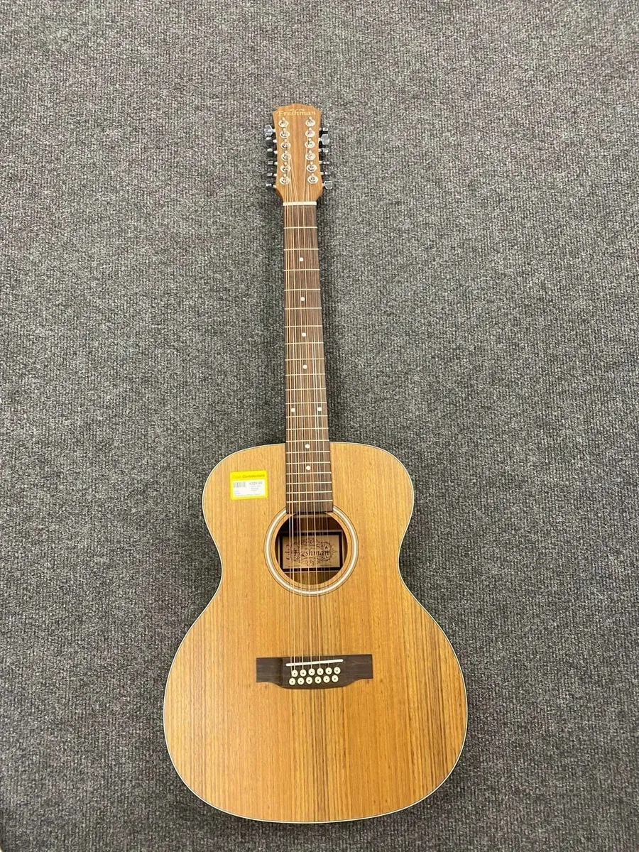 Freshman 12-String Acoustic *NEW* - Image 1
