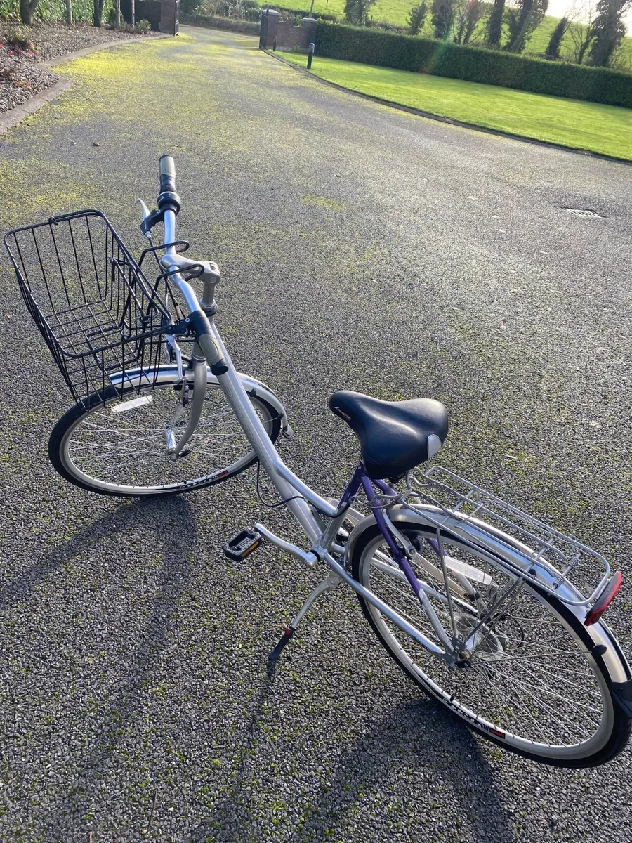 Ladies Raleigh Bike - Image 1