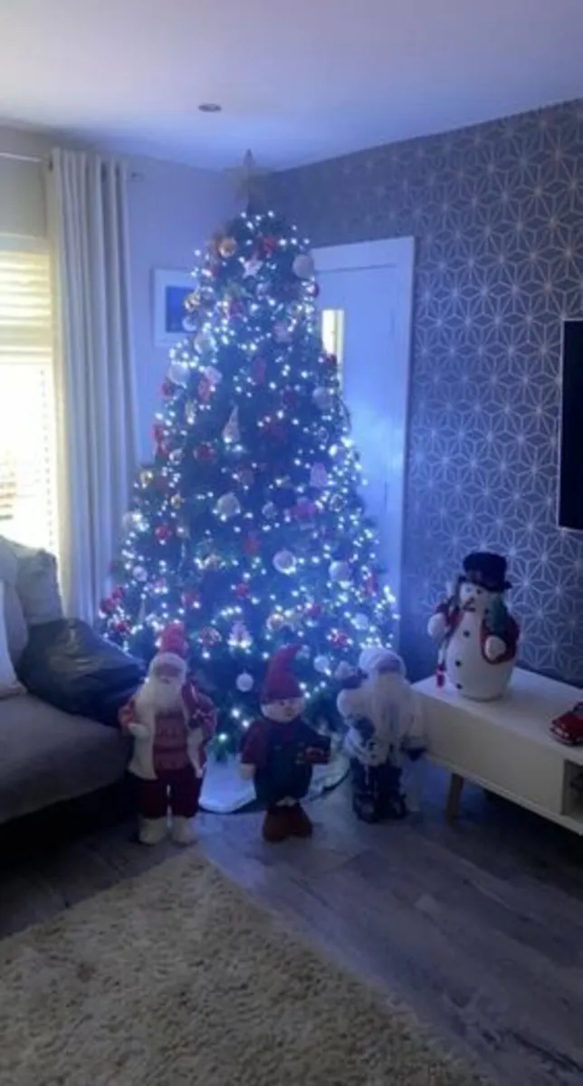 Christmas Tree 8ft Nebraska - Image 1