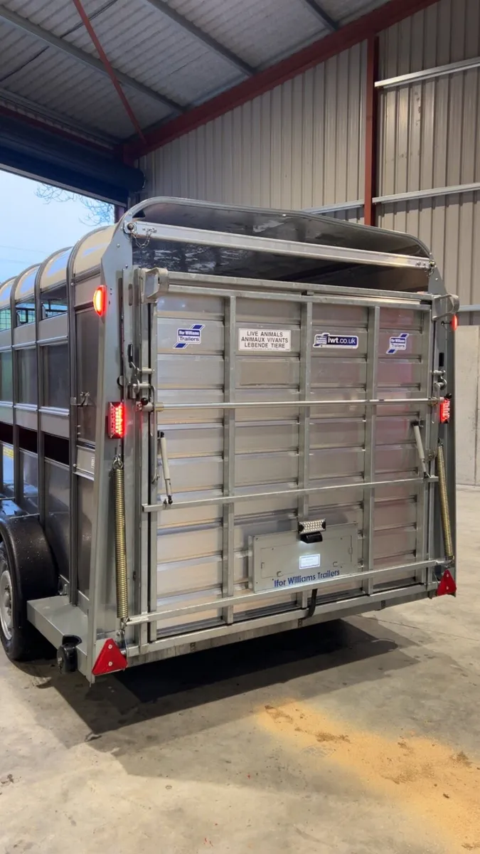 Ifor Williams - Image 4