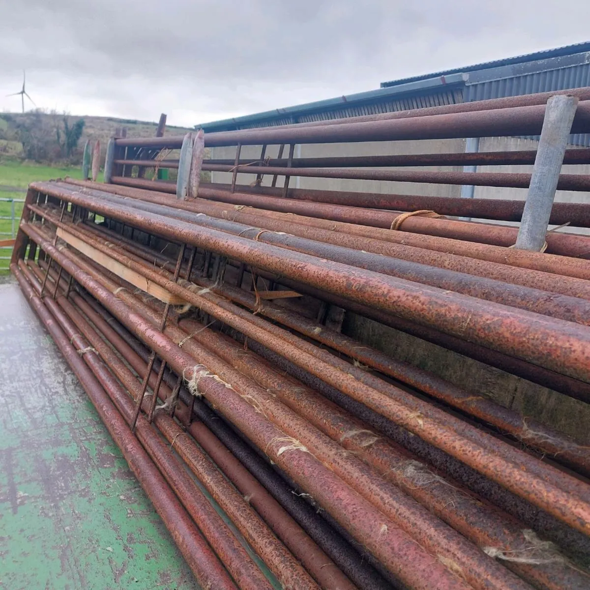 Sheep feed barriers - Image 1