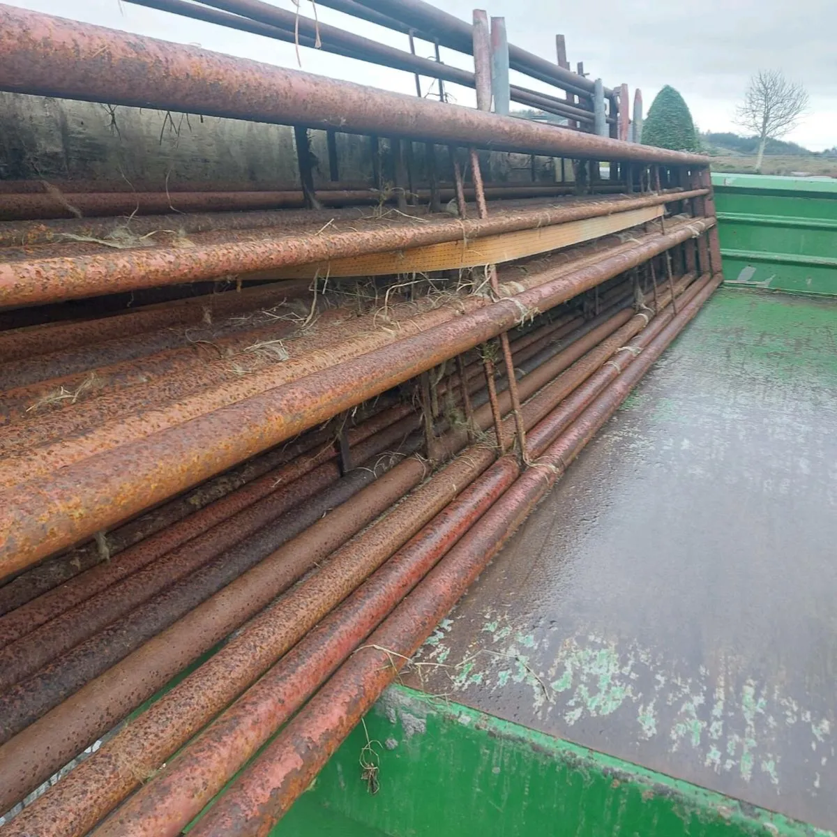 Sheep feed barriers - Image 3