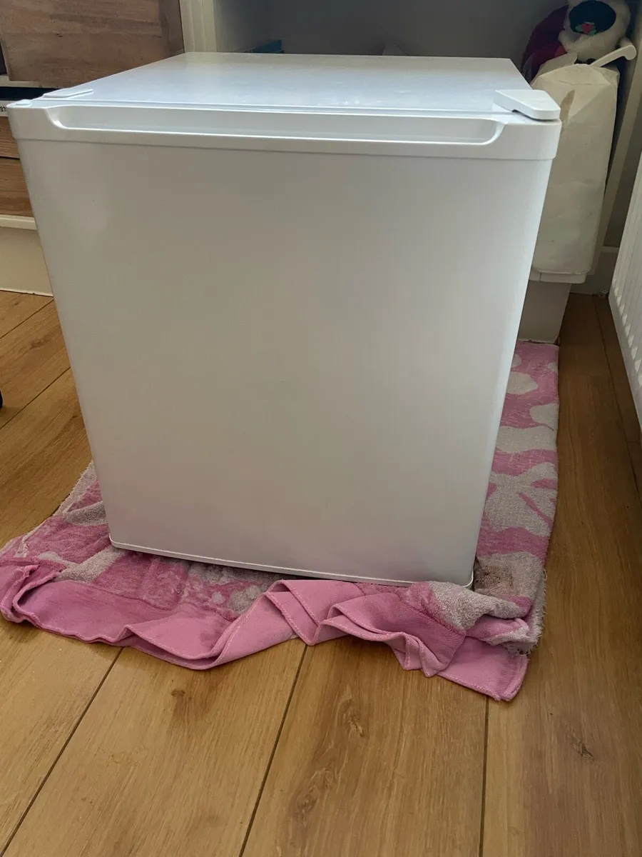 Mini Freezer - Image 1