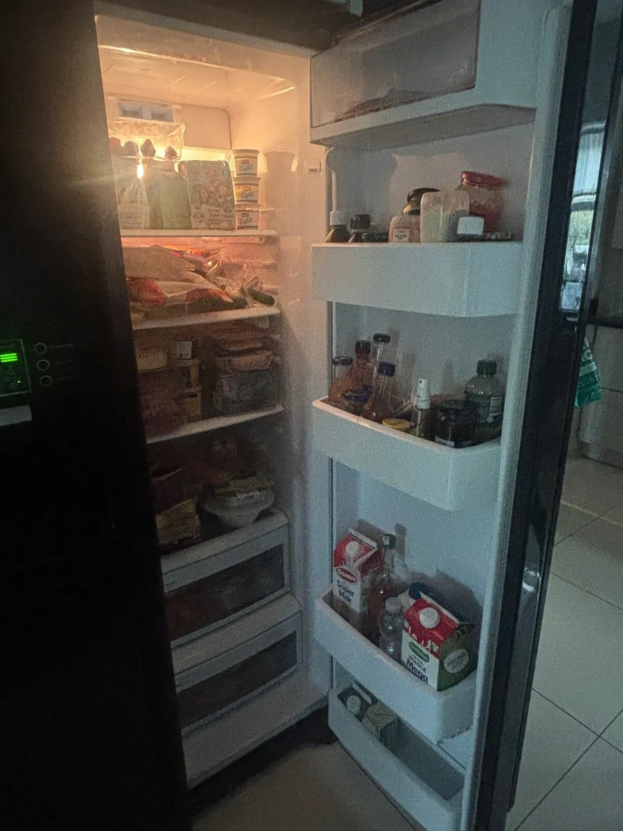 American Fridge - Image 3