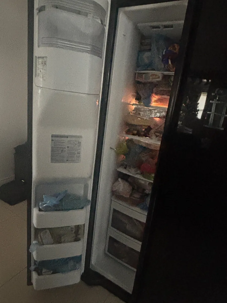 American Fridge - Image 4