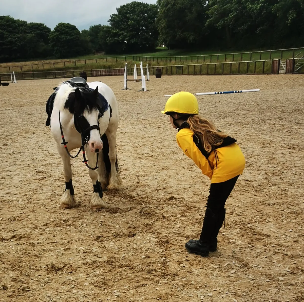 12h pony club pony - Image 2