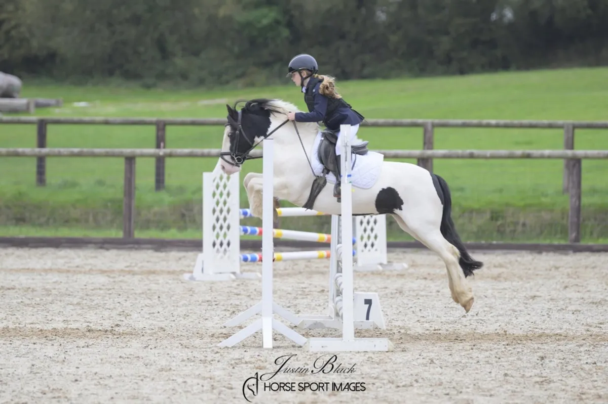 12h pony club pony - Image 3