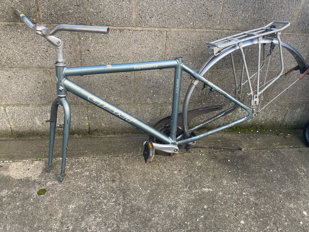 Giant bike frame - Image 1