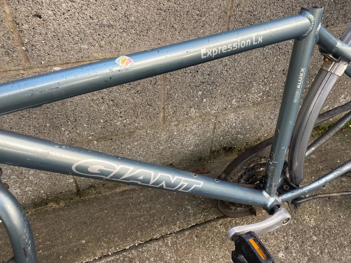 Giant bike frame - Image 3