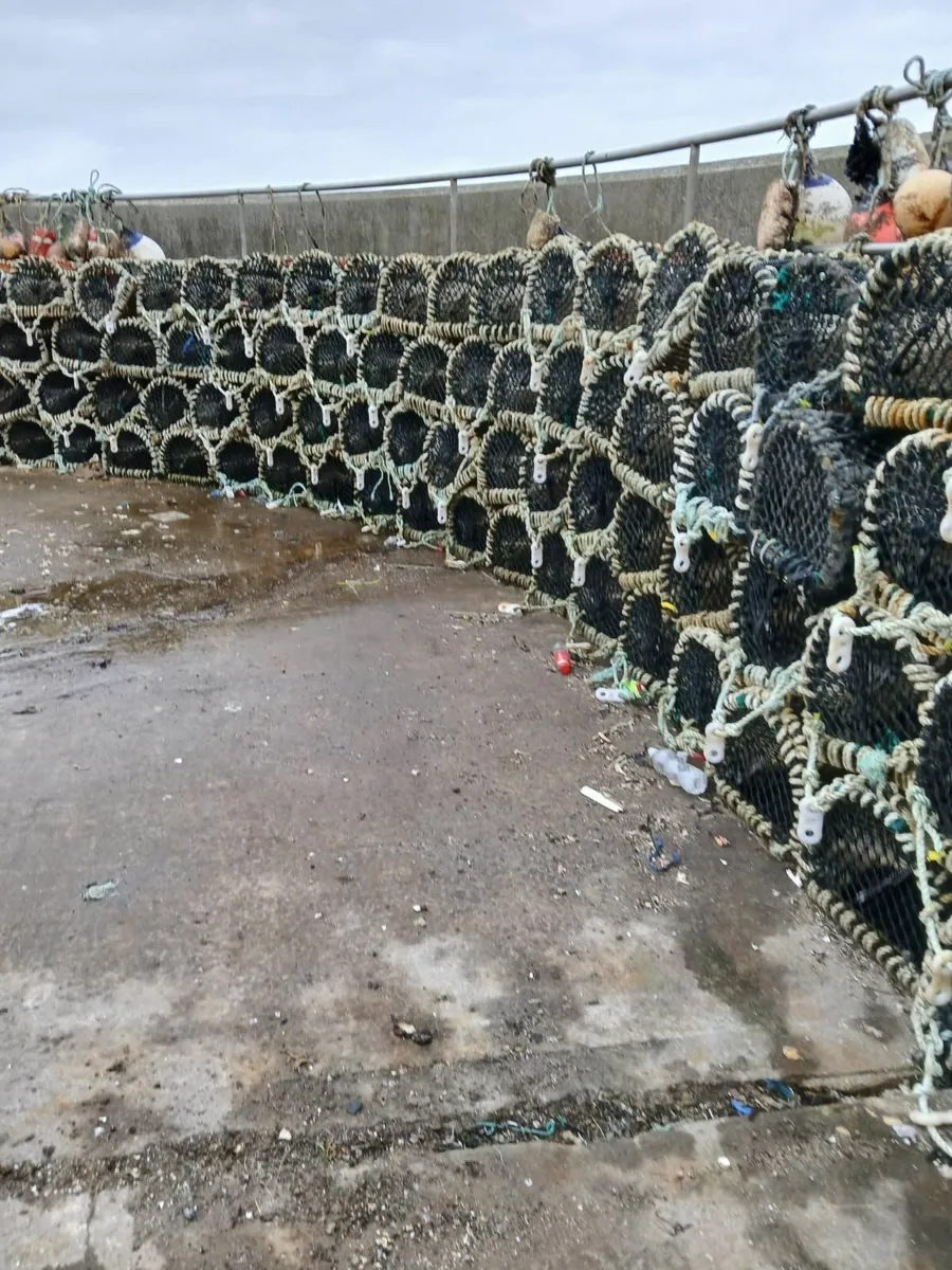 Lobster pots - Image 3