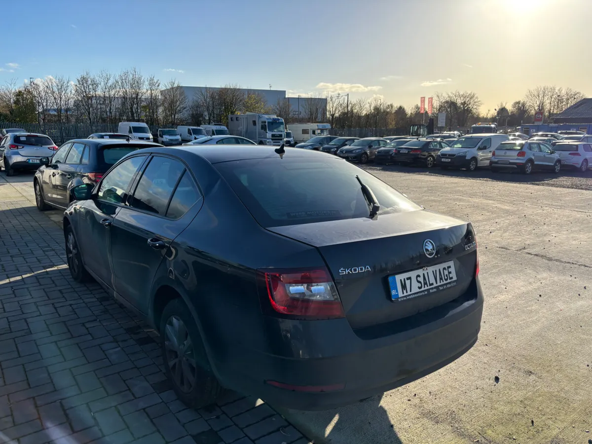 19 Octavia SOL 1.6 Tdi 250km Starts - Image 3