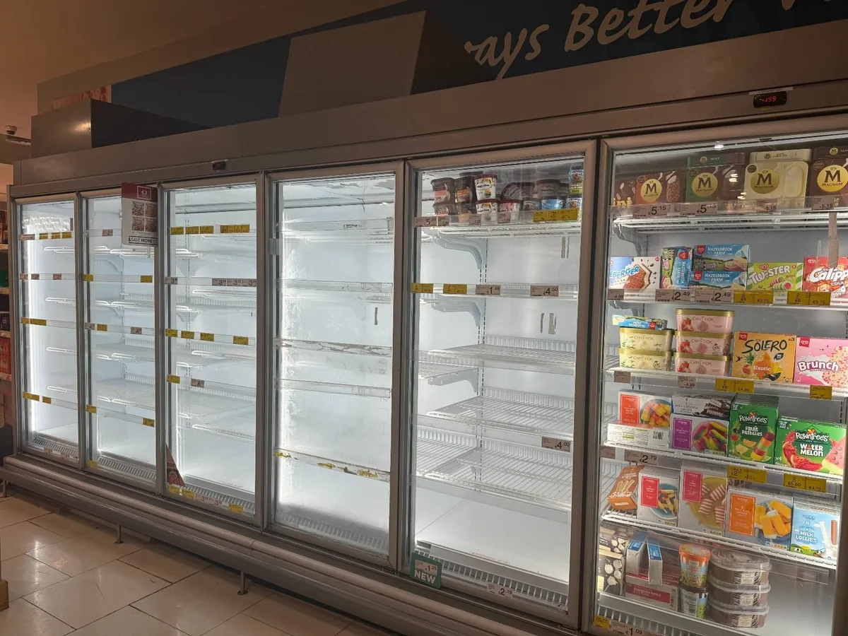 Online Auction Of Freezer Units - Image 1