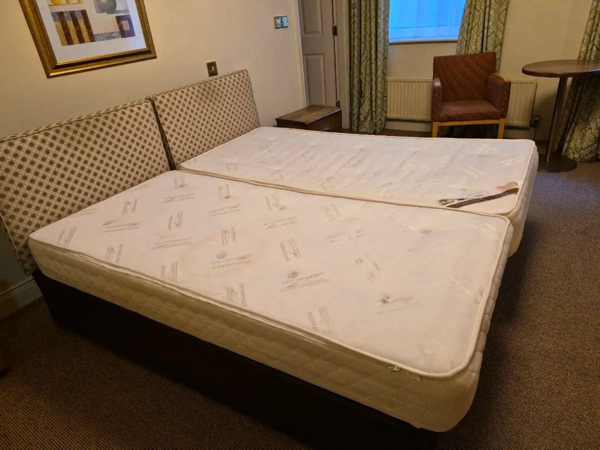 Divane Bases, Headboard and mattress - Image 3