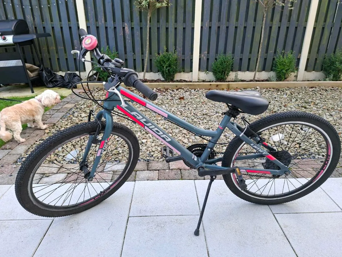 Lavida Girls bike - Image 2