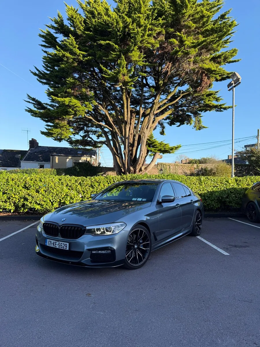 BMW 530d G30 M Sport Auto - Image 2