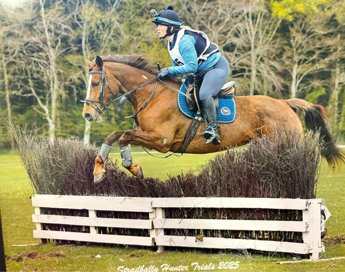 Flamenco Mare - Image 1