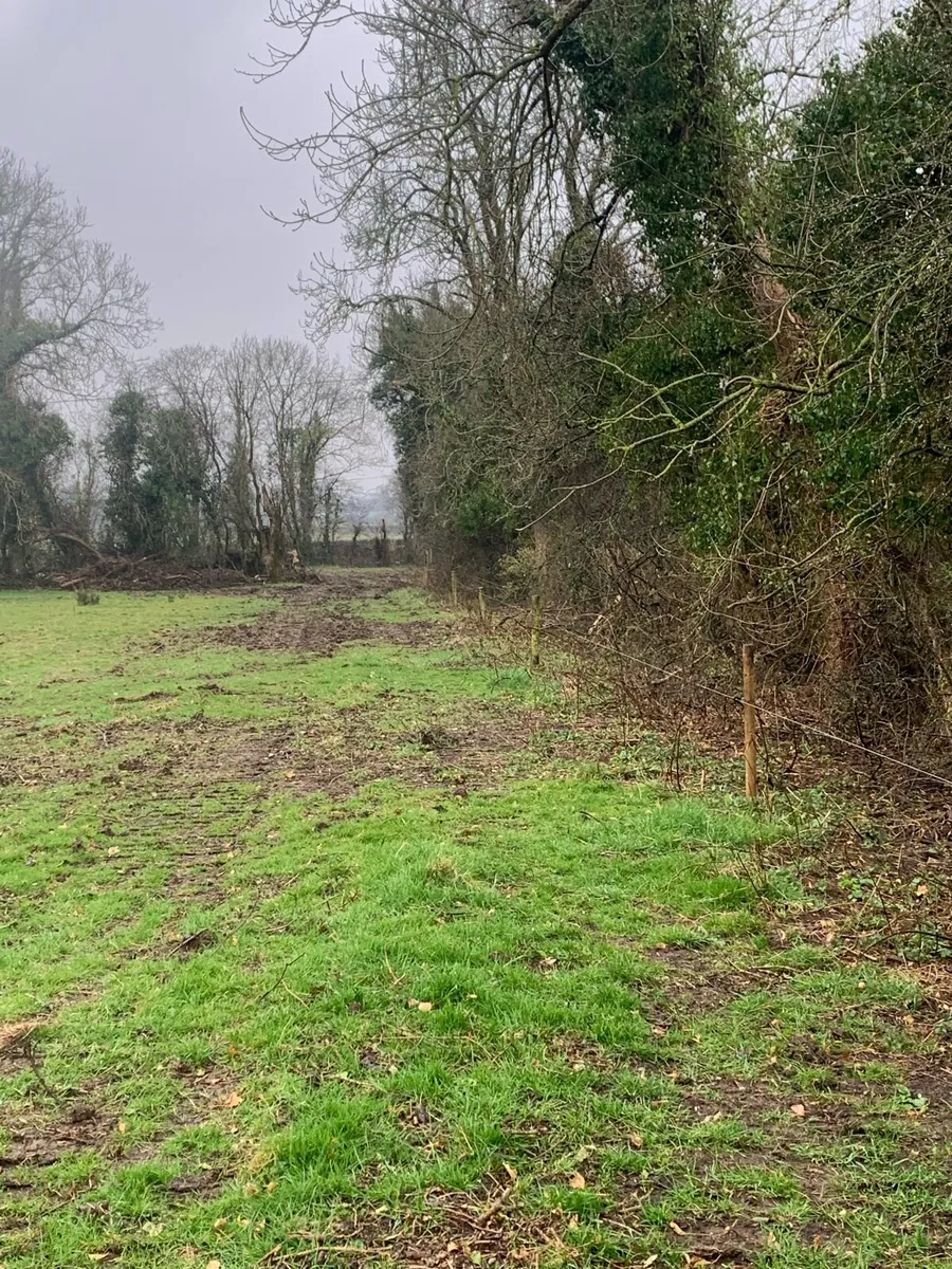 Digger work - Image 3