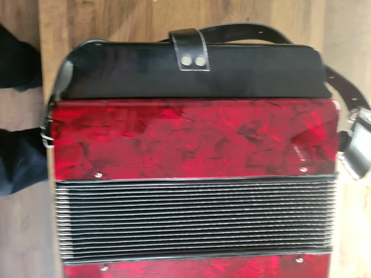 Accordion serenelli 2 row button - Image 3