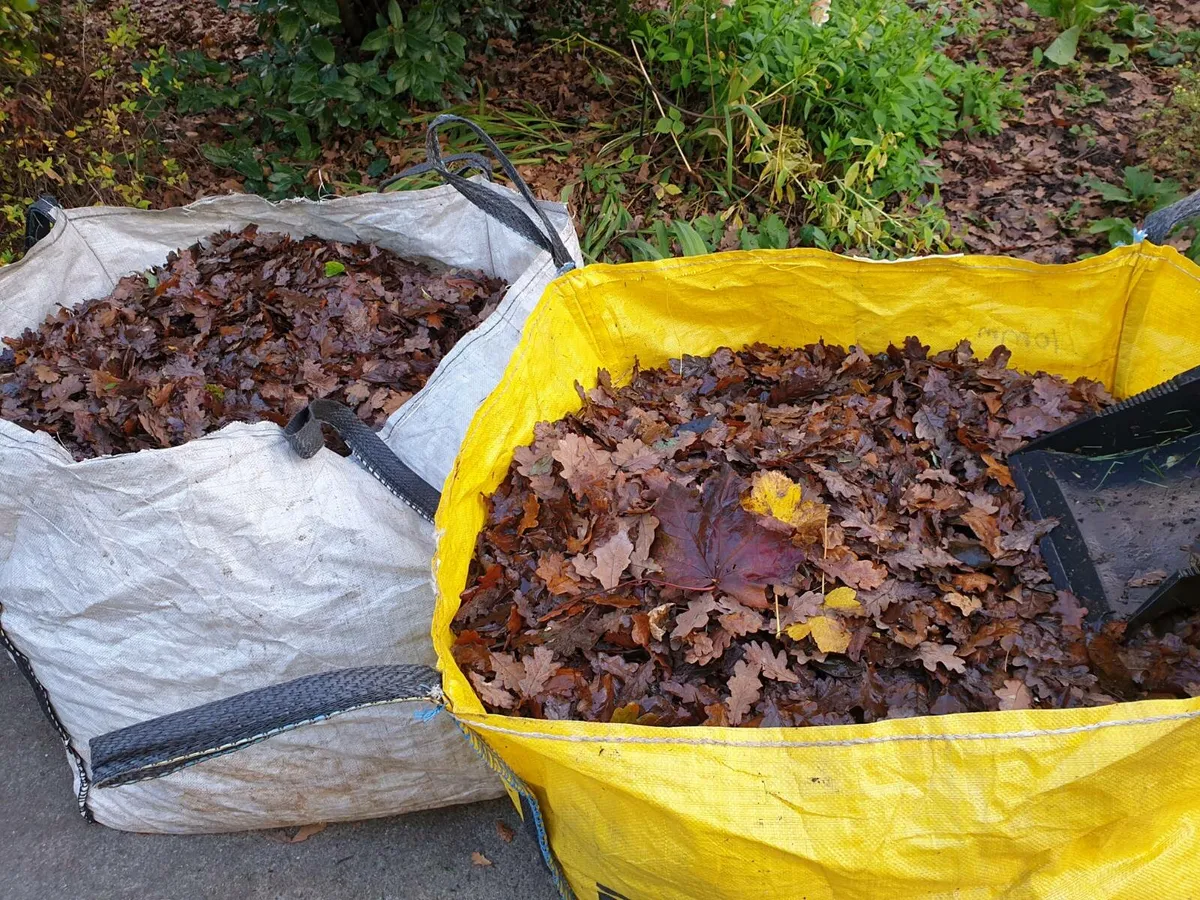 Free to take, Compost Maker. - Image 1