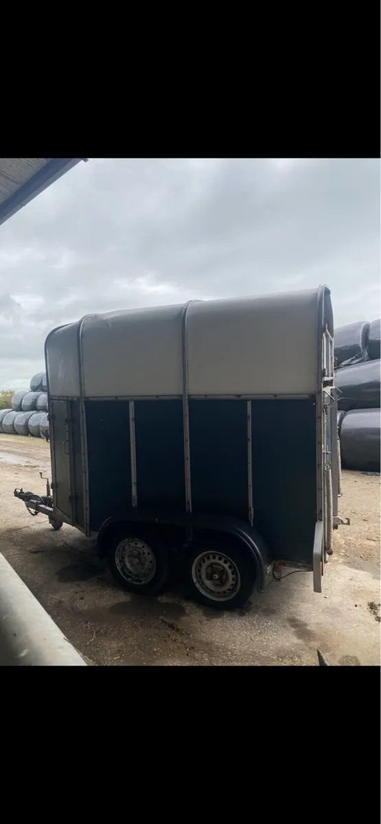 Mare and Foal box - Image 1