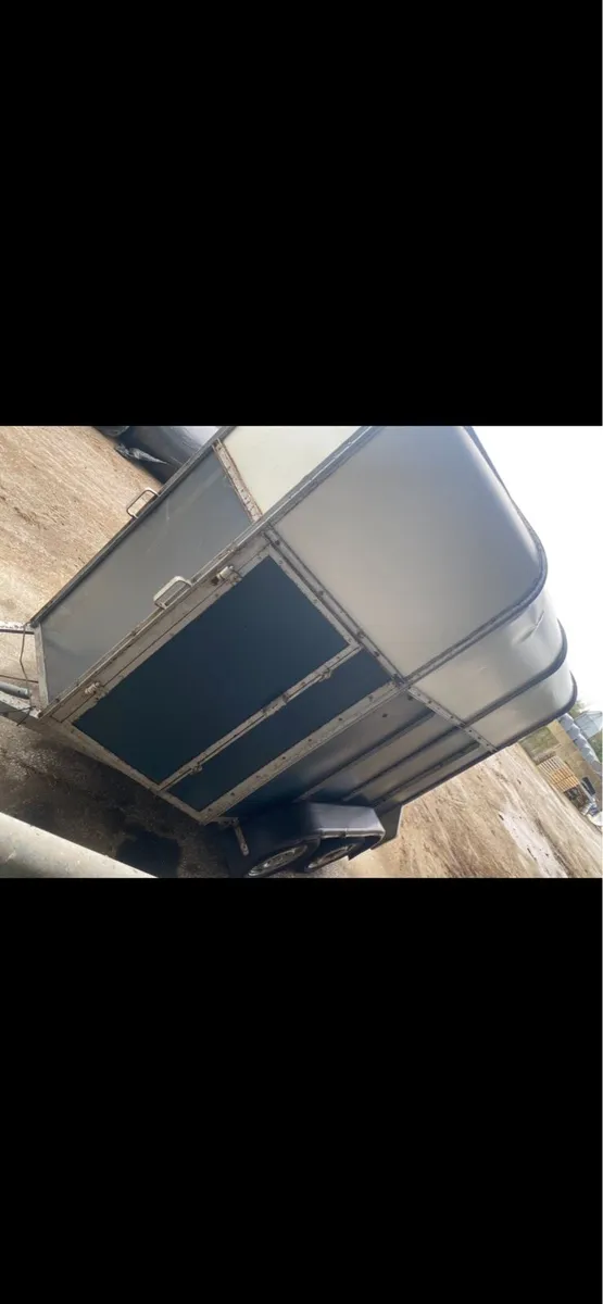 Mare and Foal box - Image 3