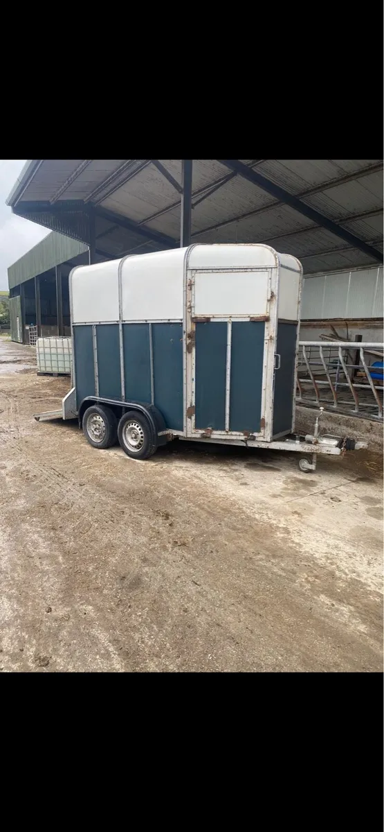 Mare and Foal box - Image 4