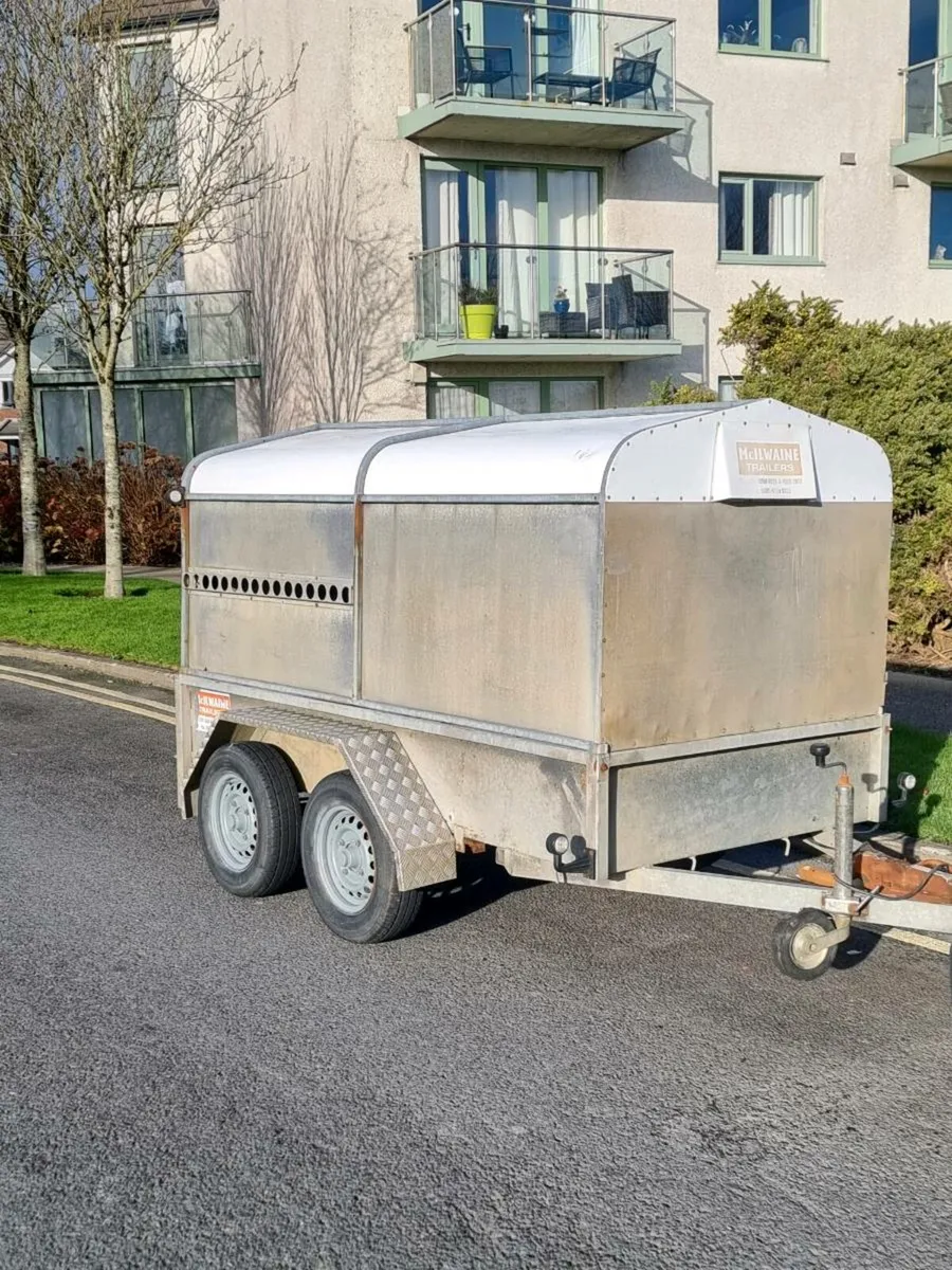 Sheep trailer - Image 2