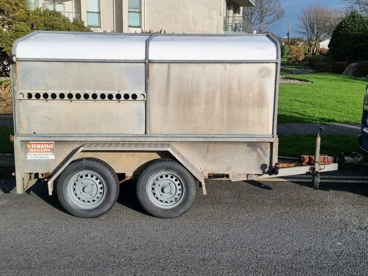Sheep trailer - Image 3
