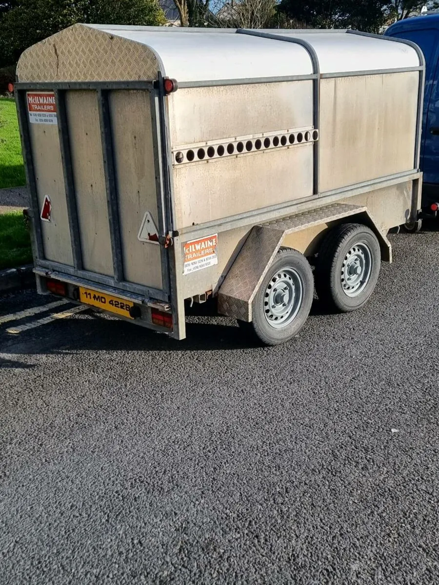Sheep trailer - Image 4