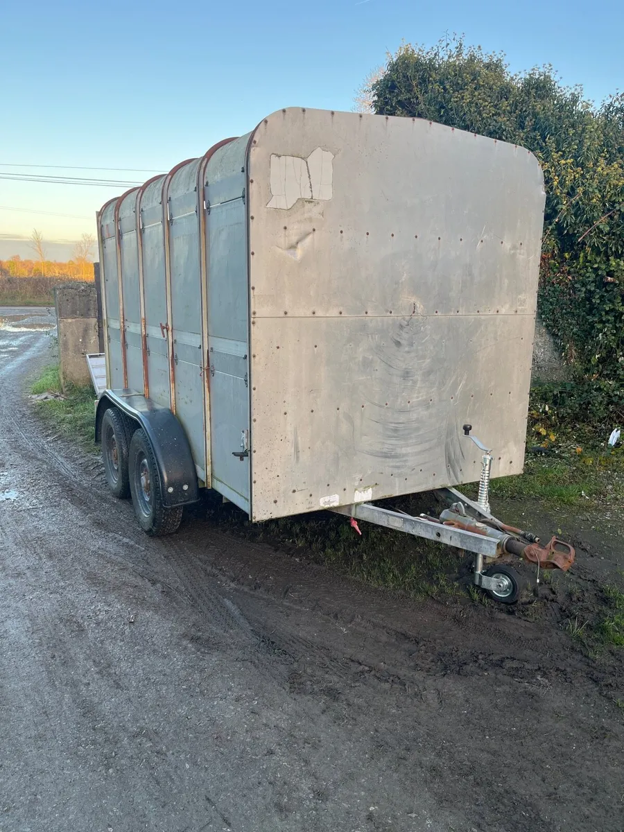 10x6 cattle trailer - Image 2