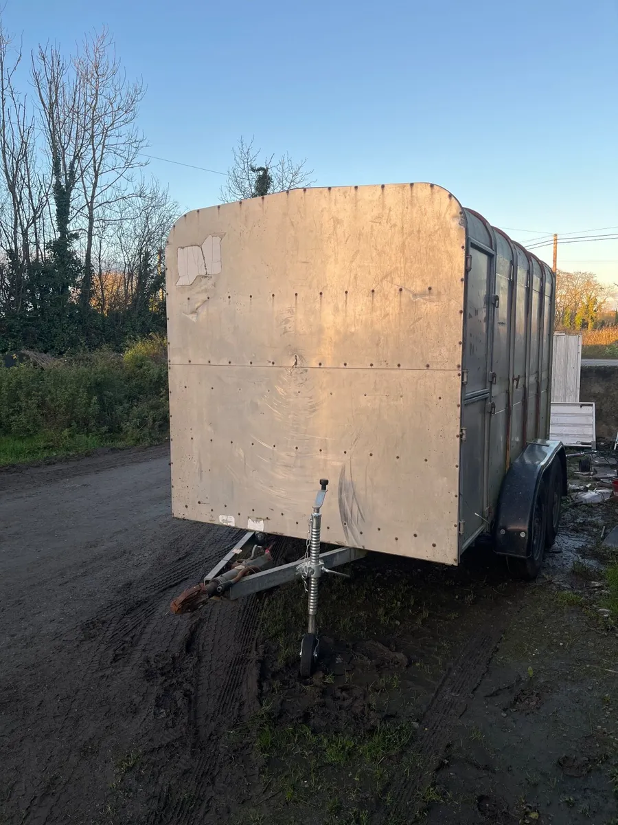 10x6 cattle trailer - Image 1