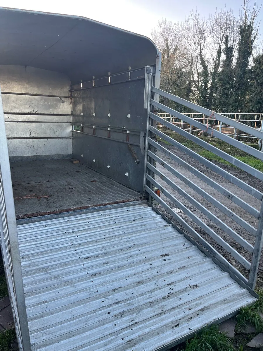 10x6 cattle trailer - Image 4