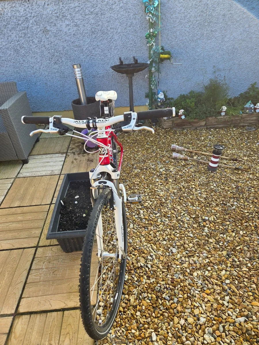 Bike - Image 3