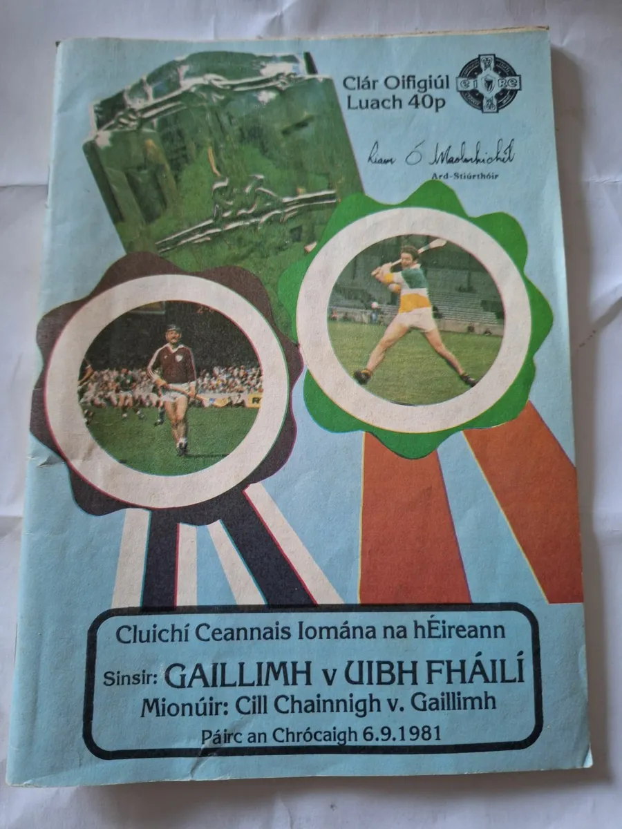 1981 All Ireland Hurling Final Programme