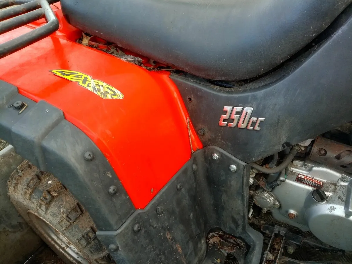 Madcat 250 quad , offers - Image 3