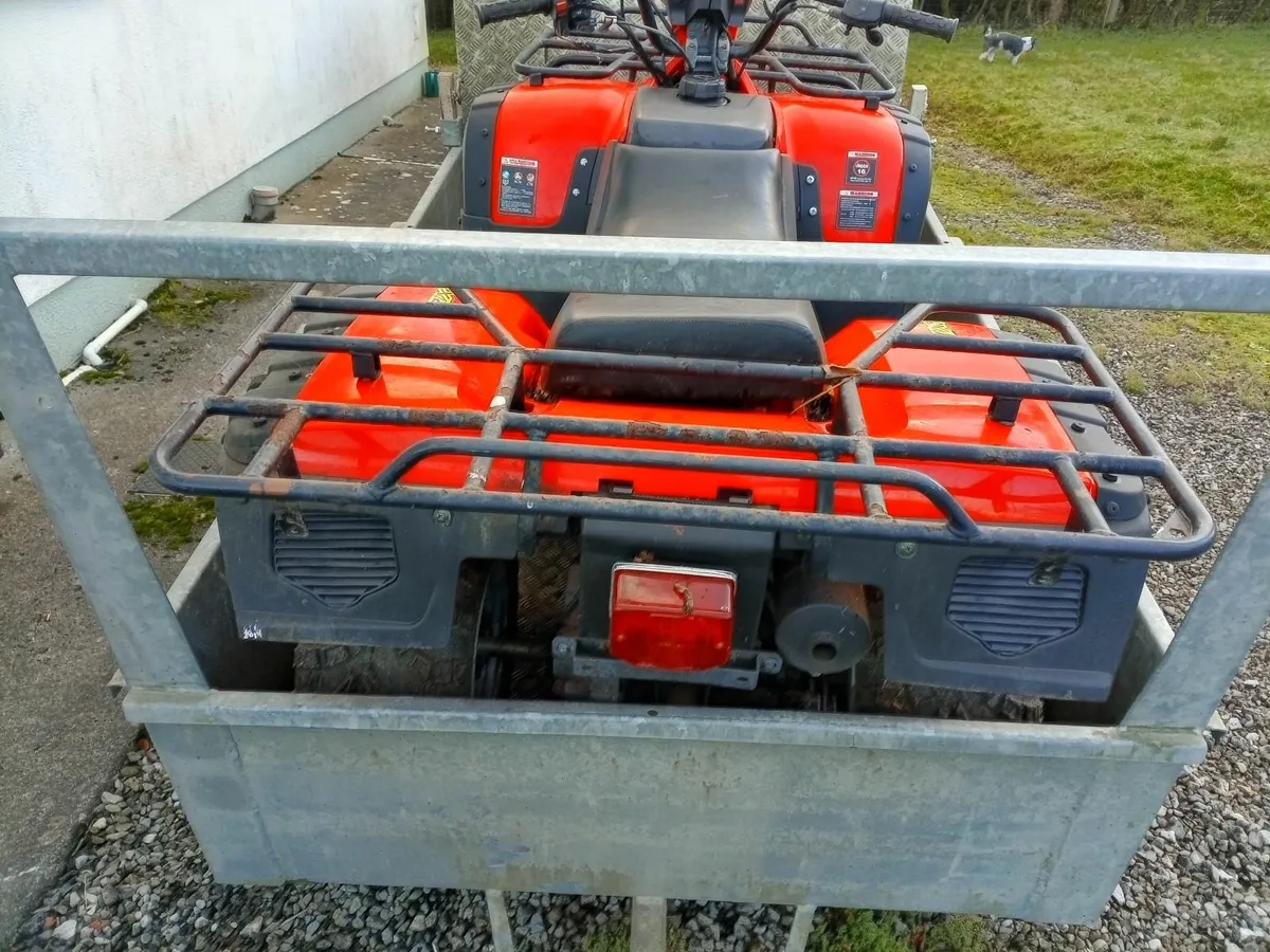 Madcat 250 quad , offers - Image 4