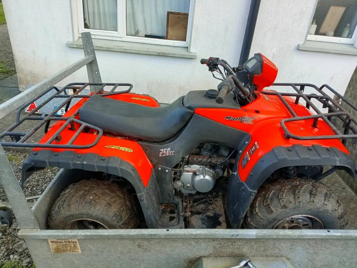 Madcat 250 quad , offers - Image 1