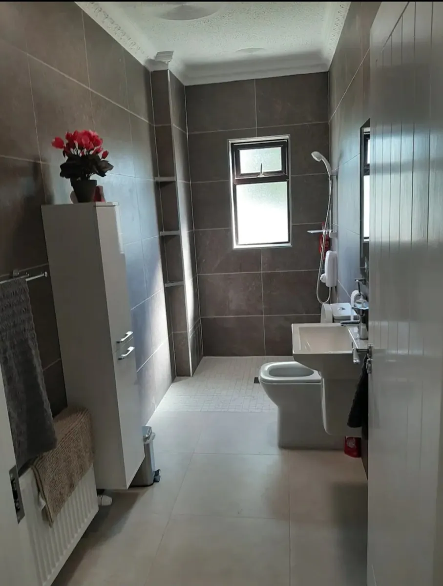 Accommodation available for Ryder Cup '27 Adare - Image 3