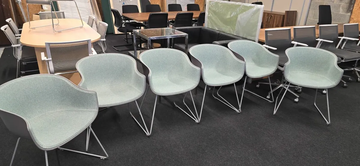 6 Bai chairs with sled frame (second hand)