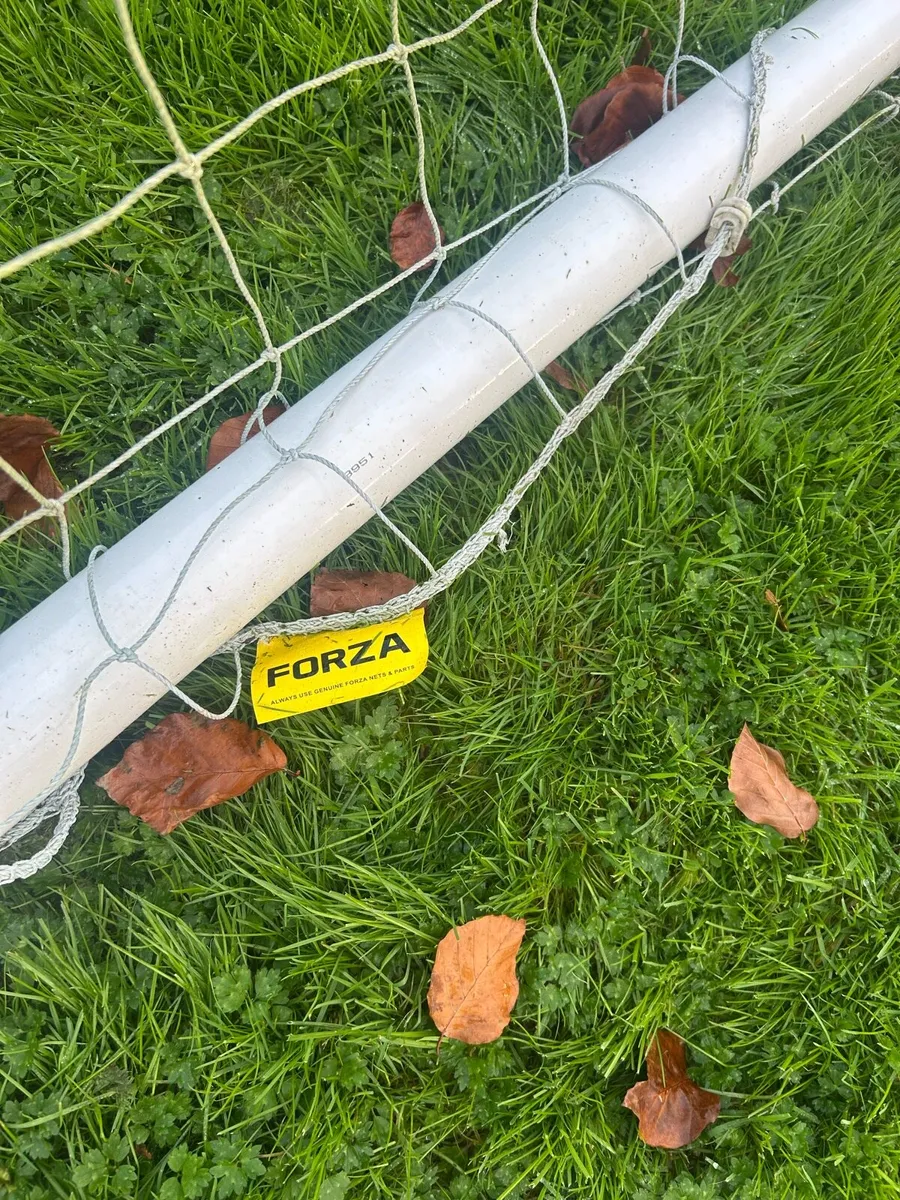 Full size Soccer Goals - Image 3